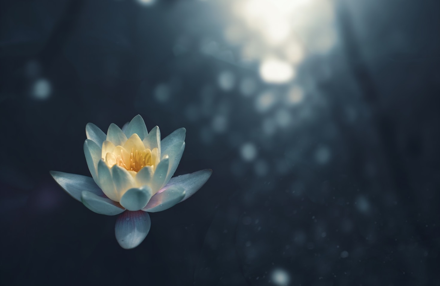 Finding Mental Clarity Amidst Daily Stress