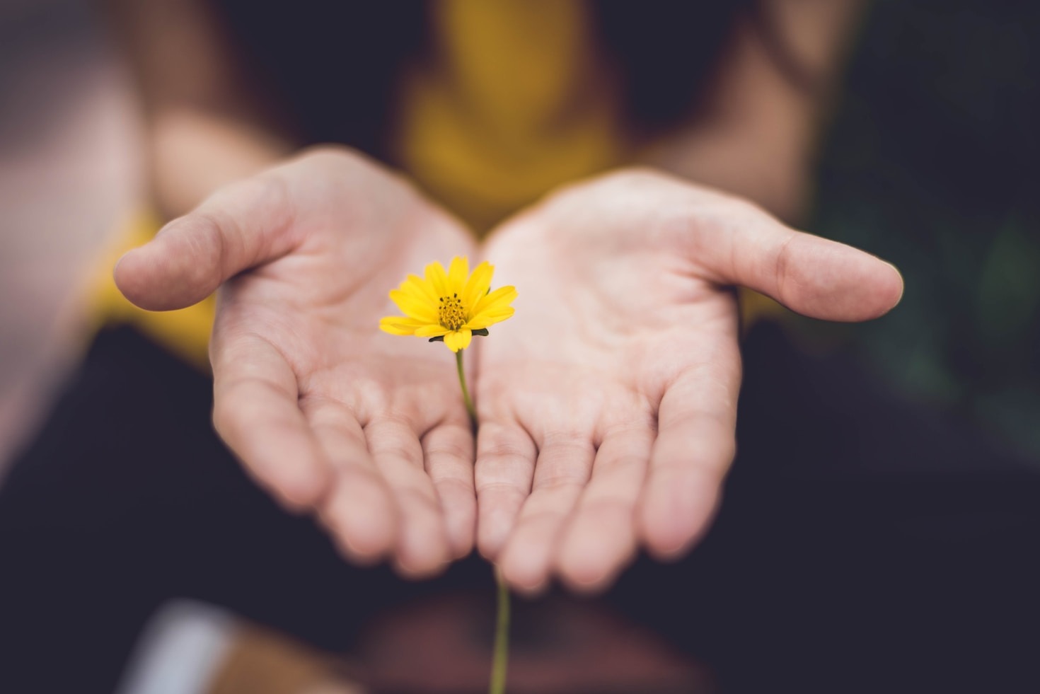 The Importance Of Gut Health Today
